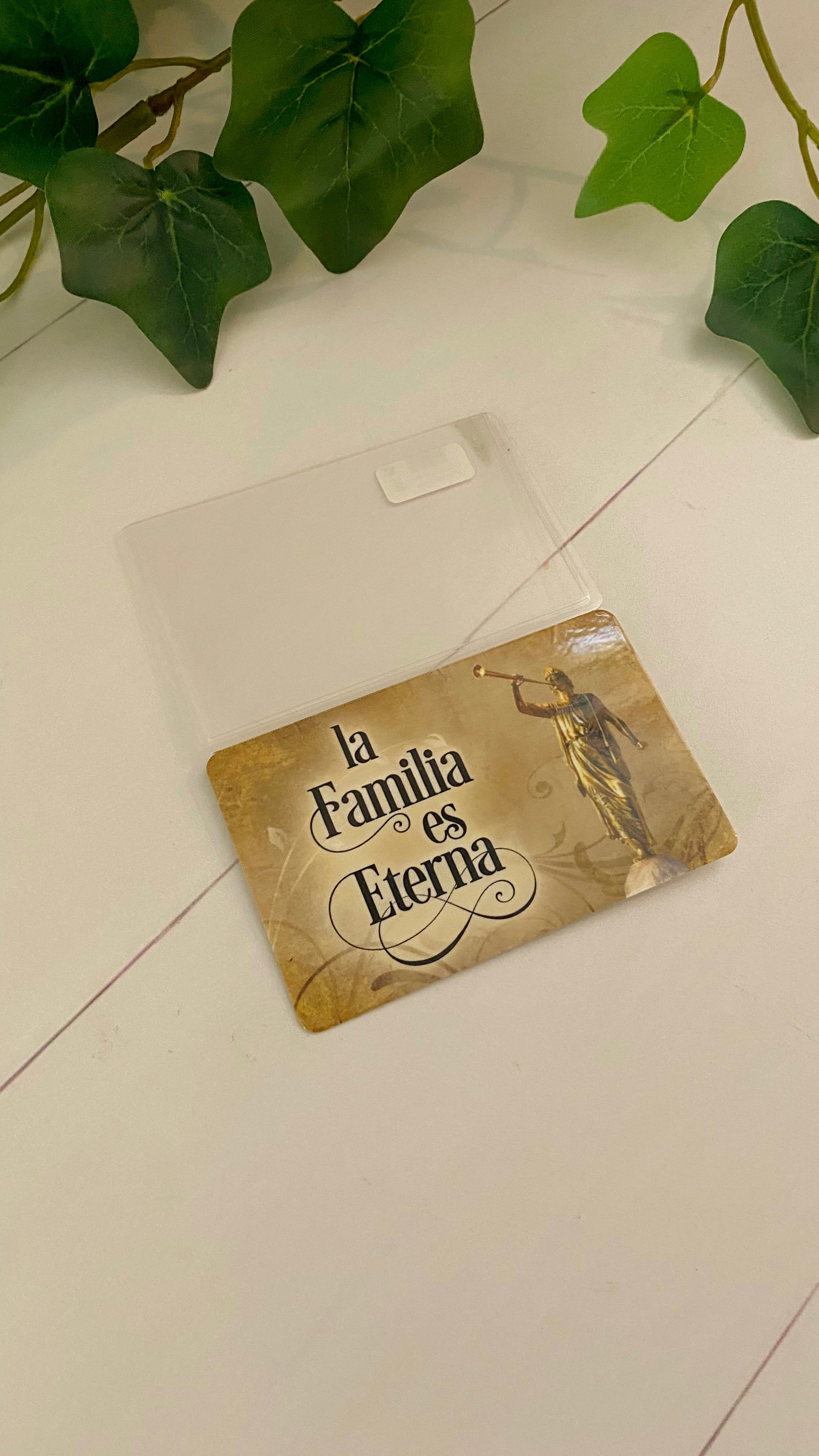 Portareco La Familia Es Eterna
