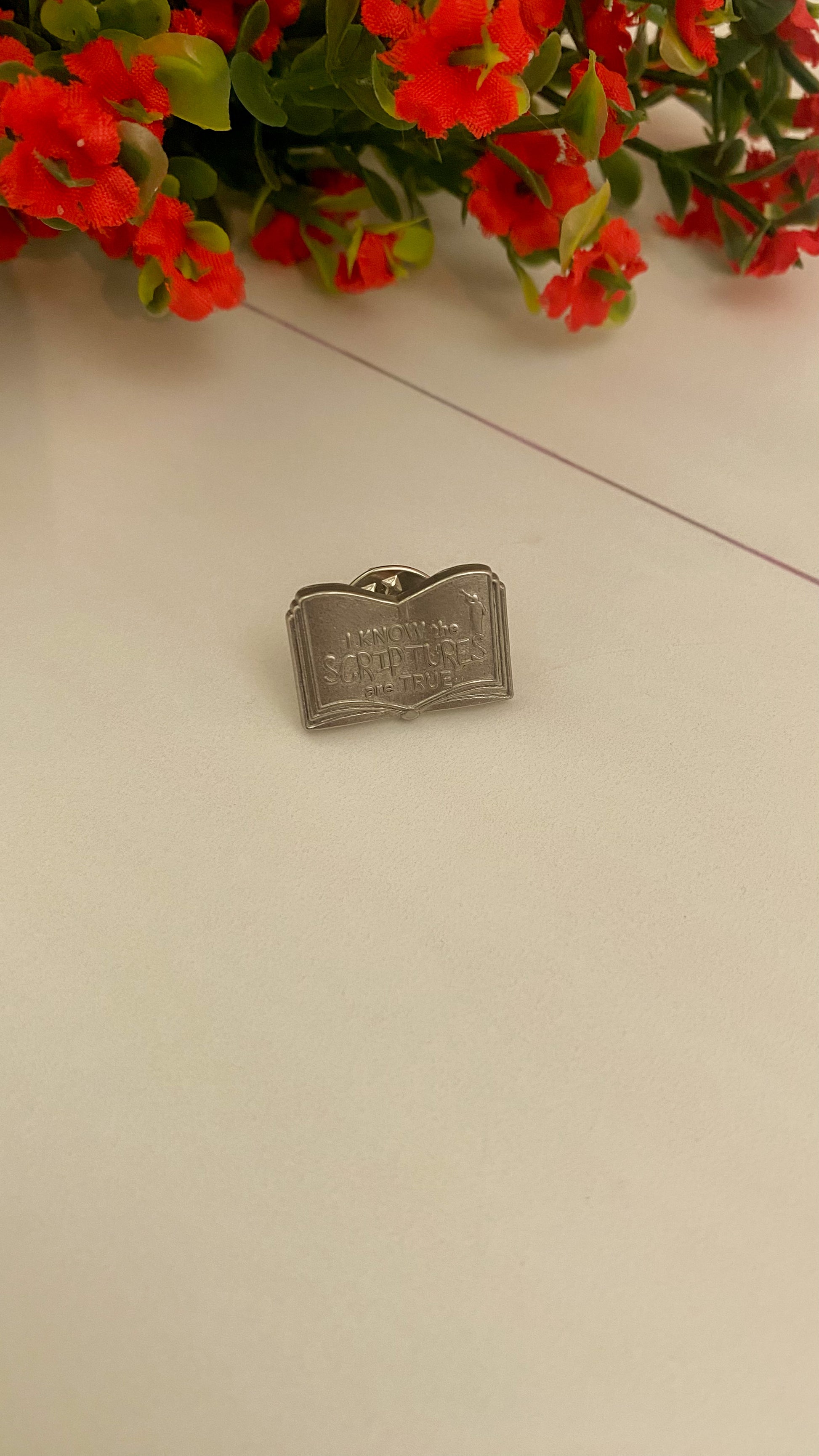Pin I Know The Scriptures Are True