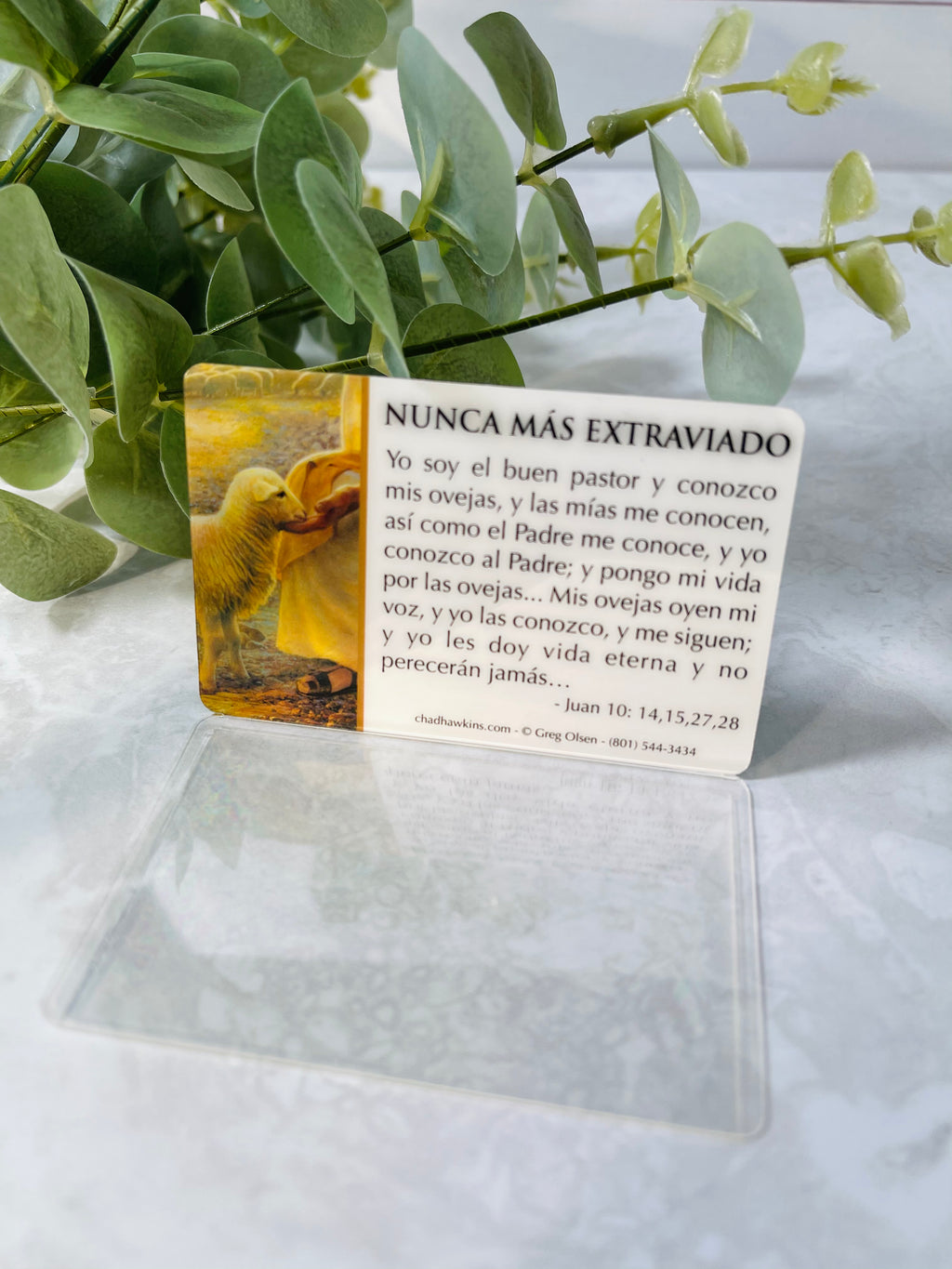 Portareco Nunca Mas Extraviado