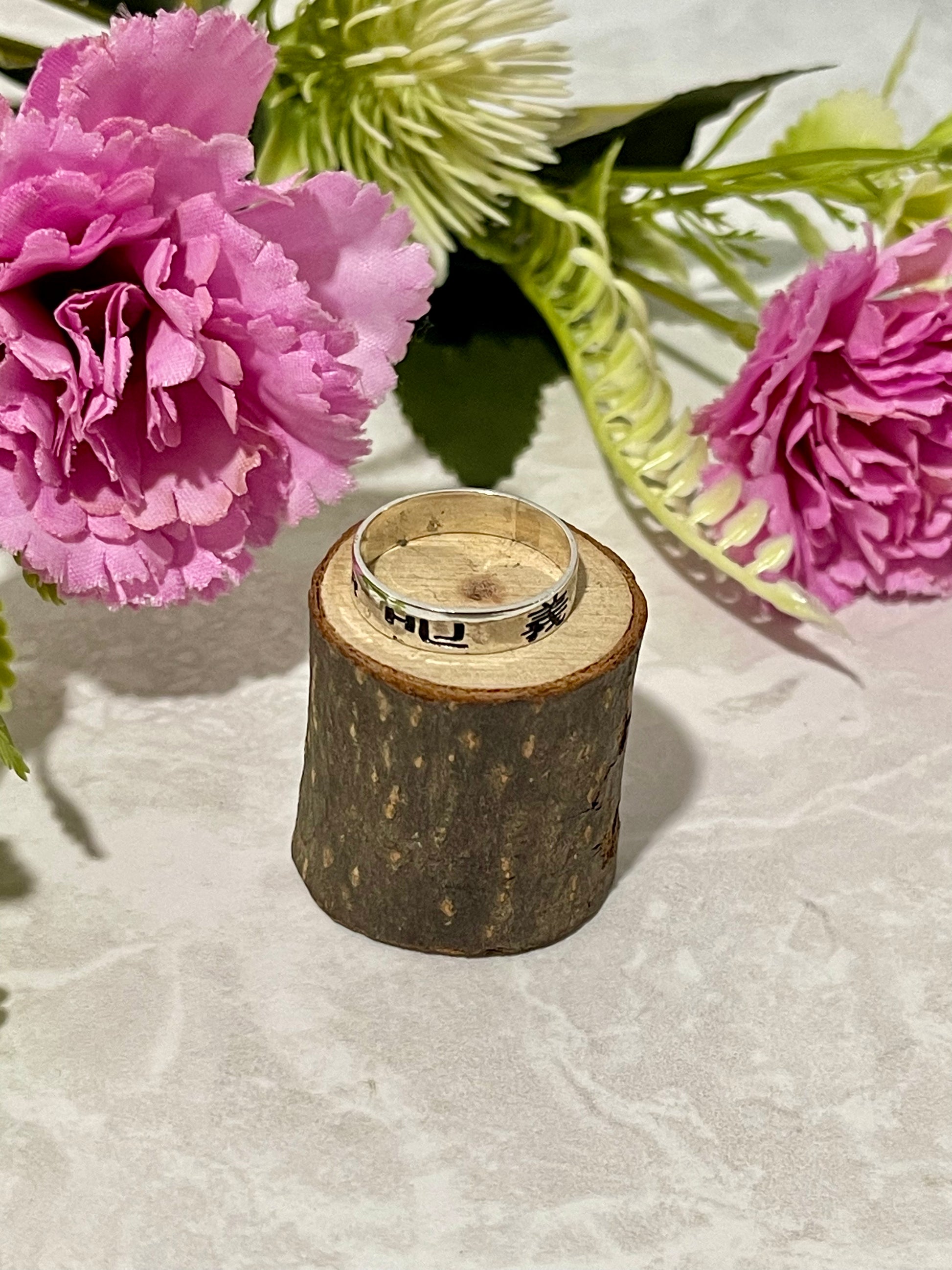 Anillo HLJ Idiomas Plata